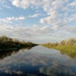 Dans le Delta du Danube (@Preoteasa)