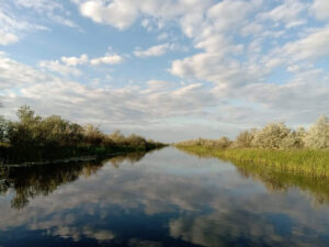 Dans le Delta du Danube (@Preoteasa)