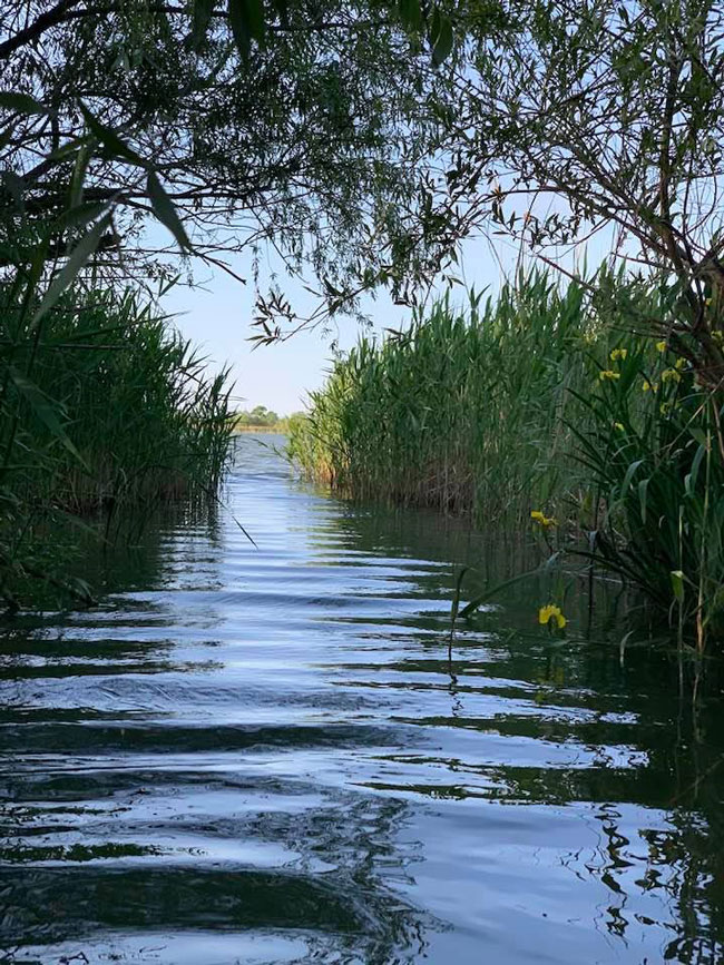Canal du Danube (@Lazăr)
