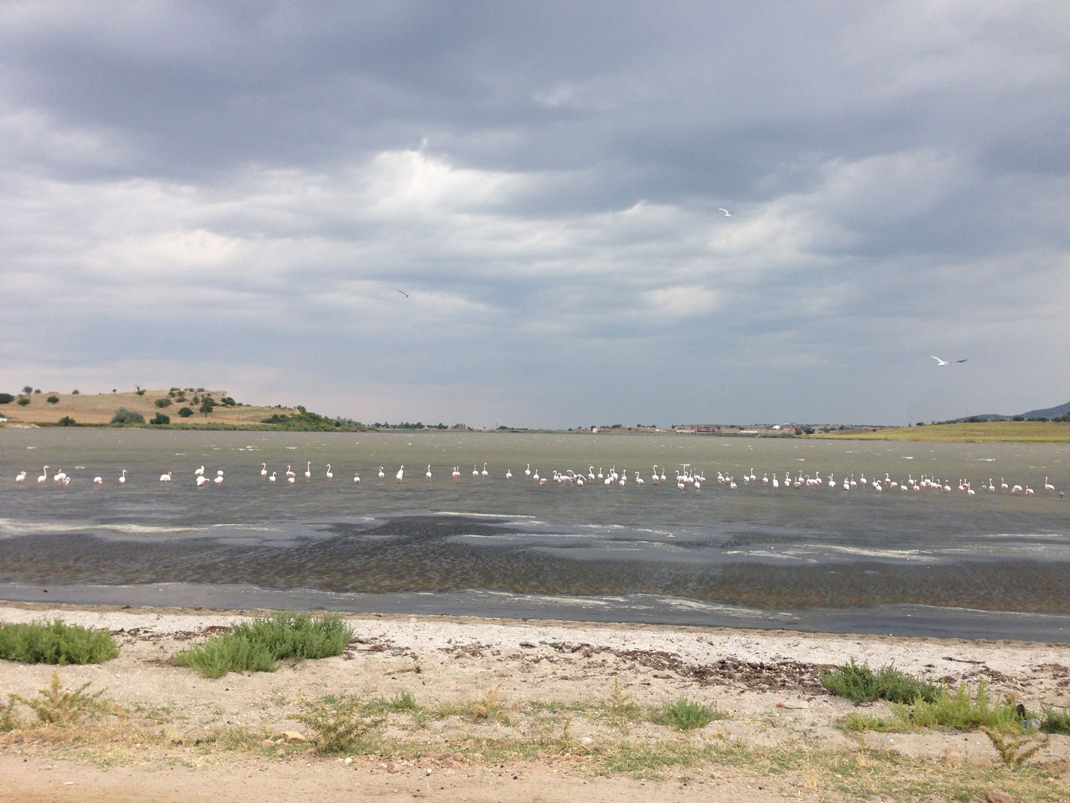 Vue sur l'ancienne pêcherie Dalyan Gölü (2018)