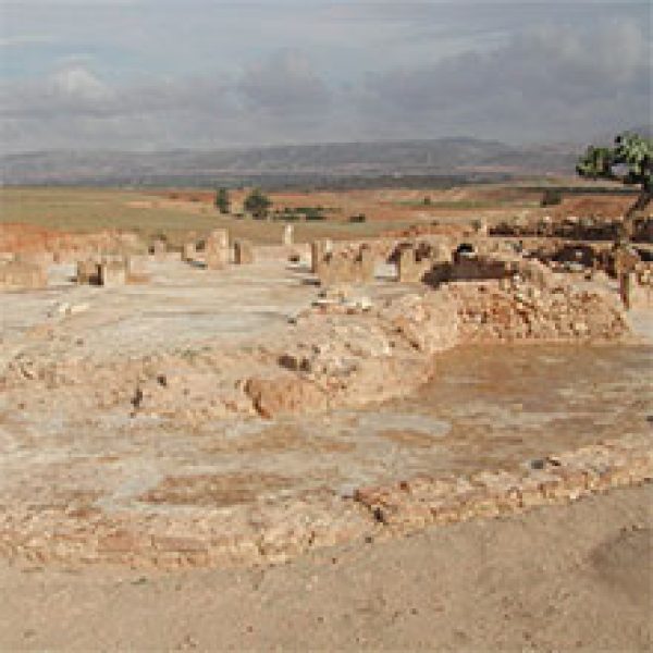 arton2711-13a