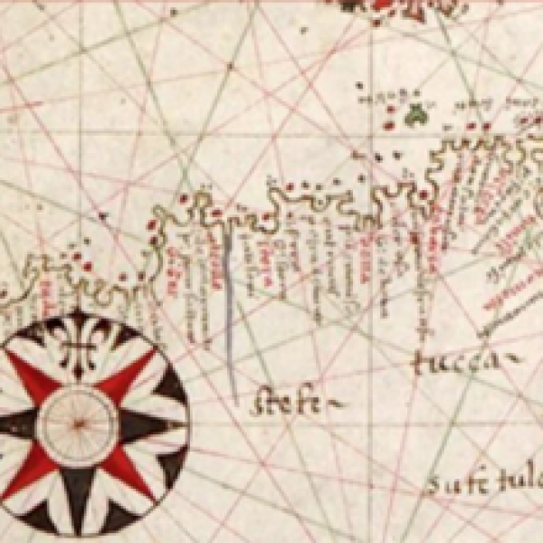 arton3597-ee7